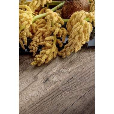 Tavolo allungabile Mario... 2