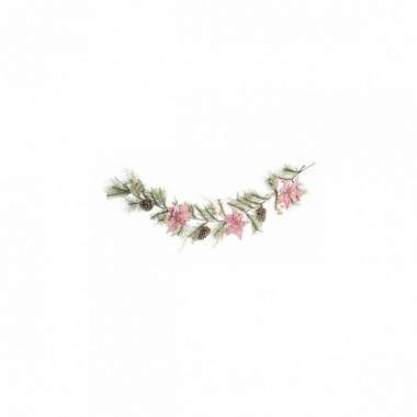 BOA ANNABEL POINSETTIA ROSA H180