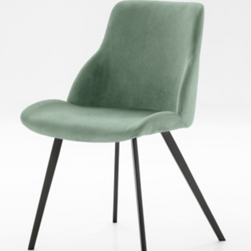 Sedia BRASILIA con struttura in...