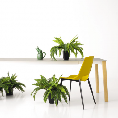 Tavolo allungabile QUADRO -...