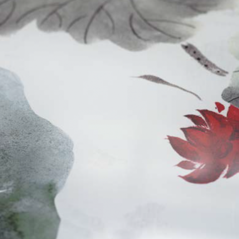 Madia DAFNE - TARGET POINT