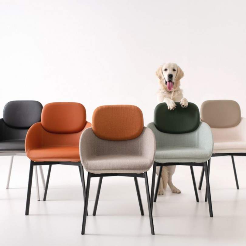 Poltroncina TATA- Pointhouse