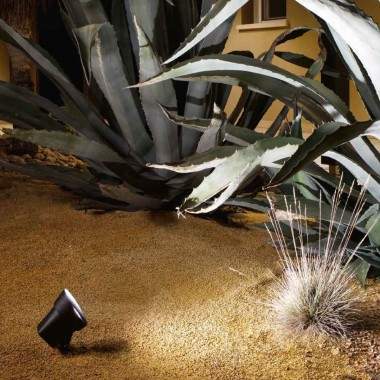 Spot GURU- Ondatech 2