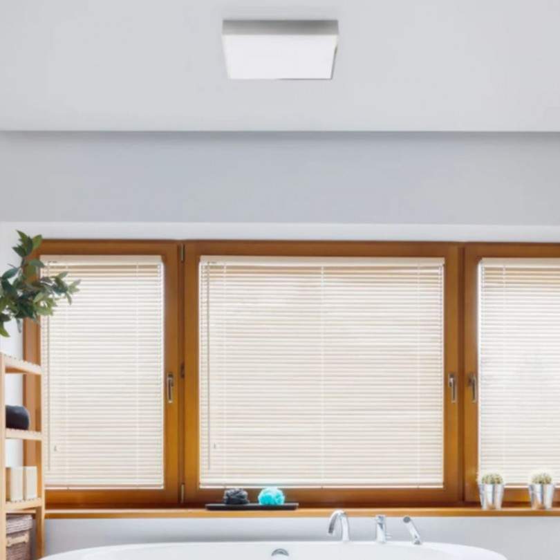 Plafoniera MERANO - Rendl light