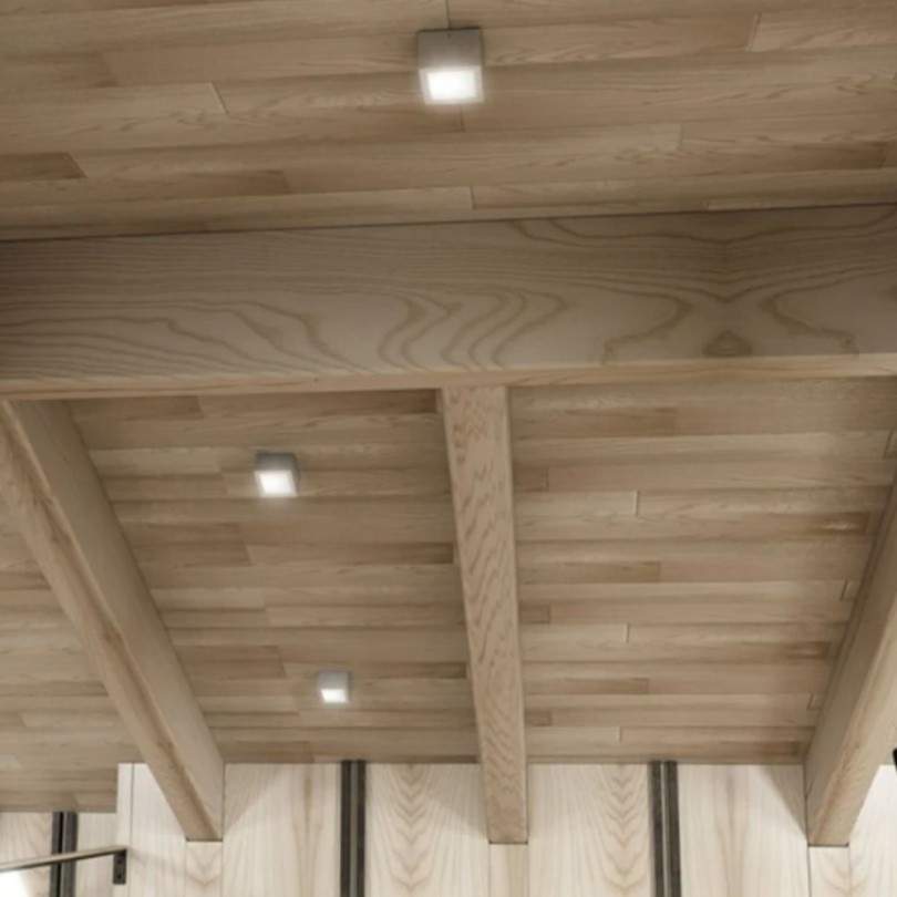 Plafoniera DEZA - Rendl light