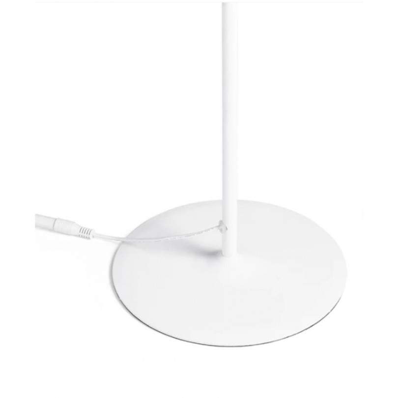 Lampada da terra NOVA - Rendl light