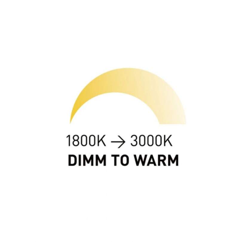 Faretto OWEN - Rendl light